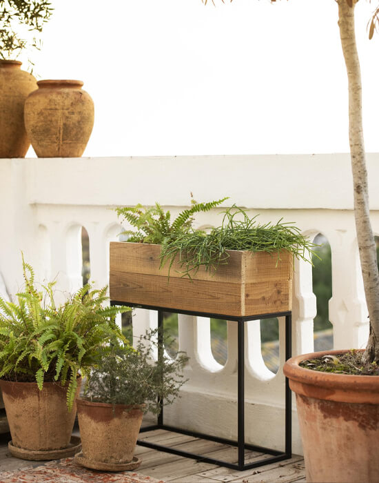 decoración terraza con plantas